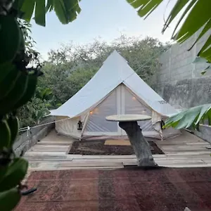  Luxuszelt Yurt In Avocado Garden